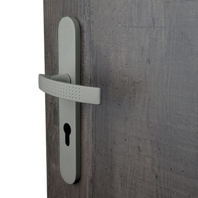 Poignées de porte sur plaques à cylindre Ibiza inox ALPERTEC