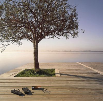 Lame de terrasse pin lisse rabotée traitée autoclave classe 4 vert - 21 x 120 X 4500 mm - HENRY TIMBER