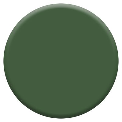 Peinture crème de couleur Vert Tropical velours 0,5L - DULUX VALENTINE