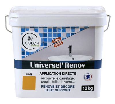 UNIVERSEL RENOV Jaune Cuir FONTE 10kg - COLOR FRANCE
