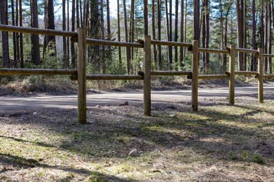 Rondin bois en pin traité autoclave classe 4 - Ø120 x 4000 mm - HENRY TIMBER