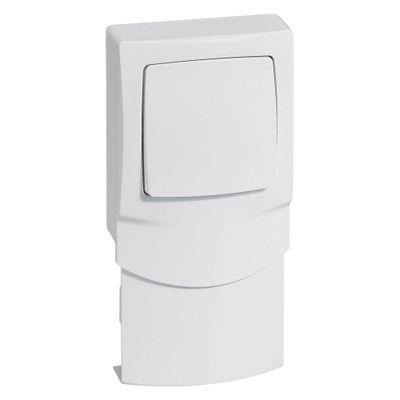 Interrupteur va-et-vient pour moulure 16mm Blanc - Les apparents LEGRAND