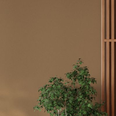 Colorant ultra-concentré pour peinture 100 ml sienne naturelle 2052 RICHARD