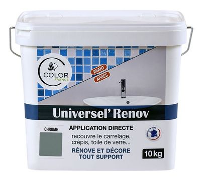 UNIVERSEL RENOV Gris Vert CHROME 10kg COLOR FRANCE
