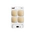 Bouton de meuble en T laiton 33 x 12 x 4 par 4 REI