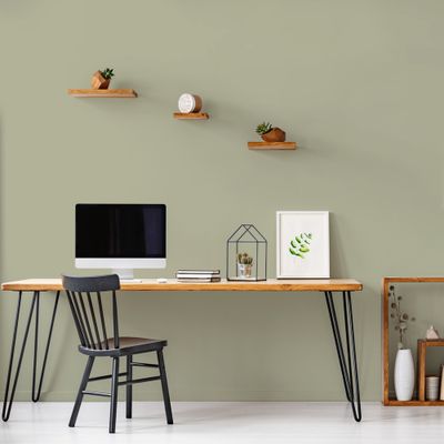 Peinture murs, boiseries et radiateurs vert gaspesie velours 0,5L RIPOLIN