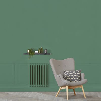 Peinture murs, boiseries et radiateurs vert comic mat 0,5 L - RIPOLIN