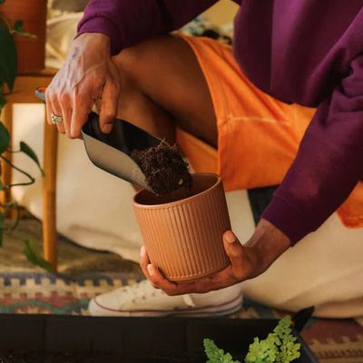 Pelle à terreau 29.1cm x 8cm