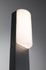 Borne d'éclairage extérieur LED 800 lumens blanc chaud 60cm IP44 Anthracite - Bonnie PAULMANN