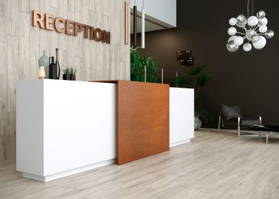 Carrelage sol intérieur effet bois silver NWOOD ép 10 mm 20 x 120 cm rectifié paquet de 1,44 m² HERBERIA