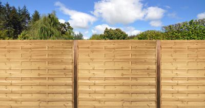 Panneau cadre droit pin brut traité autoclave - 30 x 1800 x 1800 mm - DEBARGE