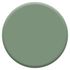 Peinture crème de couleur Vert Ginkgo velours 0,5L - DULUX VALENTINE