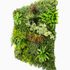 Mur végétal artificiel prairie 1m x 1m AG'CO