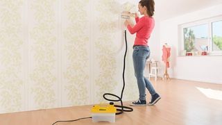 Nomenclature Décolleuse à papier peint