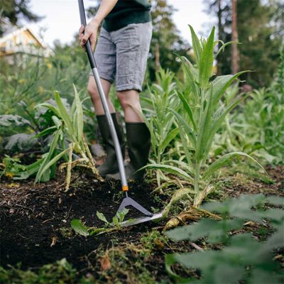 Ratissoire manche courbé Ergonomic