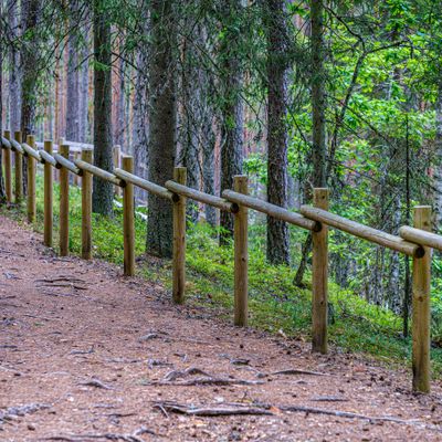 Rondin bois en pin traité autoclave classe 4 - Ø100 x 2500 mm - HENRY TIMBER