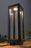 Lanterne lumineuse extérieur LED Link+Light noir IP44 70 lumens blanc chaud - PAULMANN