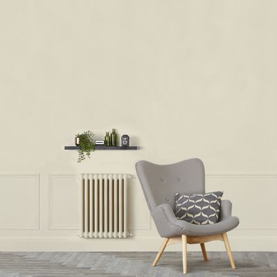 Peinture murs, boiseries et radiateurs beige dogon mat 2,5L RIPOLIN