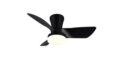 Ventilateur de plafond avec lumière LED + télécommande Noir Ø76cm - Randers REALITY