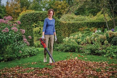 Souffleur de feuilles à batterie 18 V GE-UB 18/250 EINHELL