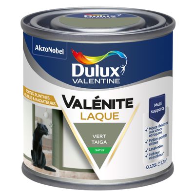 Peinture Boiseries Laque Acrylique Valénite Vert Taiga Satin 125 mL- DULUX VALENTINE