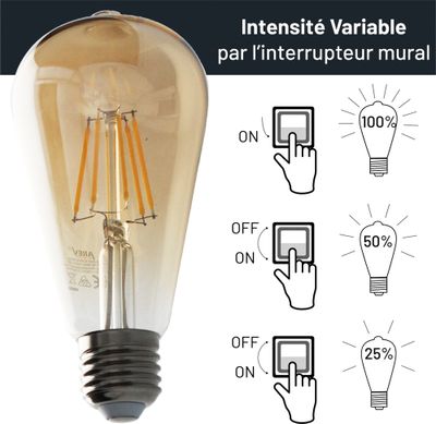 Ampoule LED EDISON ambrée 6W 720 lumens dimmable blanc chaud - ARLUX
