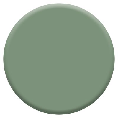 Peinture Crème de Couleur Cuisine et Bain Satin Vert Ginkgo 2 L