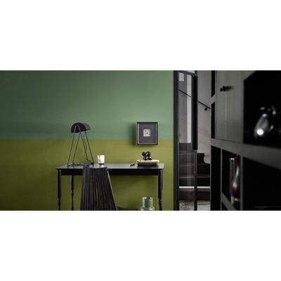 Peinture Crème de Couleur Aiguilles de Pin satin 0,5 L - DULUX VALENTINE