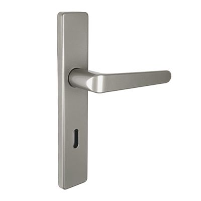 Poignées de porte double entraxe Celio gris à clé ALPERTEC