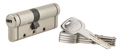 Cylindre de serrure double entrée 35 x 45 mm Trafic 12 très haute sécurité nickelé 5 clés THIRARD