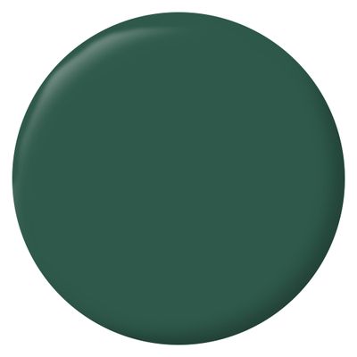 Peinture murs, boiseries et radiateurs vert cardo satin 0,5 L - RIPOLIN