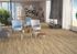 Carrelage sol intérieur grés émaillé NATUREL ROBLE ép 8 mm 19.2 x 57.5 cm CERPA