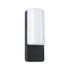 Applique extérieur LED IP44 800 lumens blanc chaud Anthracite - Bonnie PAULMANN