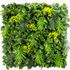 Mur végétal artificiel Exotic 1m x 1m AG'CO