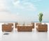 Salon de jardin BANDUNG en rotin naturel 4 places GIVEX