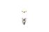 Applique extérieur E27 détecteur de mouvements Trioto nickel IP44 25W - TRIO