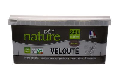 Peinture naturelle murale Ardoise velours 2,5 L - DEFI NATURE
