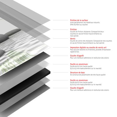 Panneau mural de douche 90x210 cm pierres zen et herbe DécoDesign Photo - SCHULTE