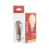 Ampoule LED SMD E27 opaque 11W = 1055 lumens blanc chaud - XANLITE