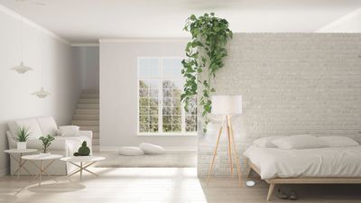 Variateur à pied blanc - TIBELEC