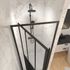 Porte de douche pivotante 80x200 cm profilé noir verre transparent 5 mm Fabrik - AURLANE