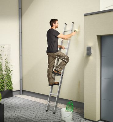 Echelle simple 9 échelons 2,46 m ProfiStep Uno aluminium - HAILO