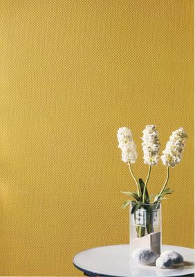 Toile de verre maille de 180 g/m² de 1 x 25 m - LECO
