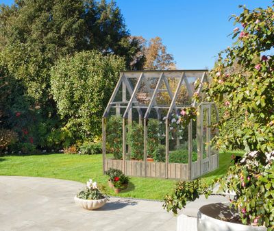 Serre de jardin Palmako Emilia en bois autoclave & verre trempé - 5,4 m², Livraison à domicile incluse - PALMAKO