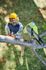 Elagueur sur perche à batterie 18 V guide 20 cm RPP182020 RYOBI