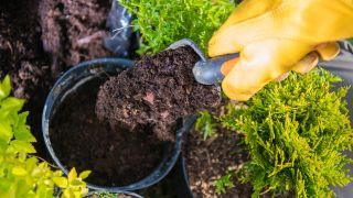 Nomenclature Gazon, terreau et carré potager