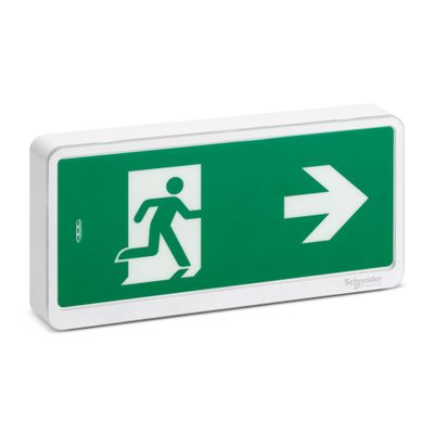 Bloc de secours LED BAES non permanent IP42 - SCHNEIDER ELECTRIC