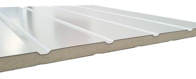 Porte de garage basculante manuelle avec portillon l.240 x h.200 cm blanche - SPADONE