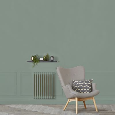 Peinture murs, boiseries et radiateurs vert nobile mat 2,5 L - RIPOLIN