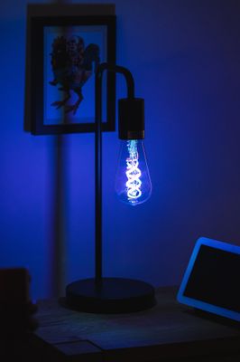 Ampoule wifi EDISON fil E27 RGBW 4.5 W = 300 lumens - LEDVANCE
